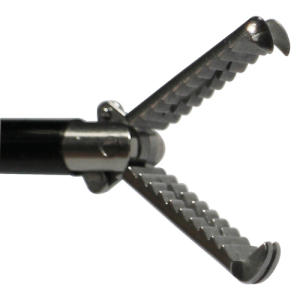 Rat-Tooth-Forceps