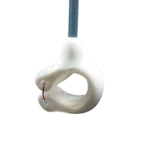 Silver Neuro Clips